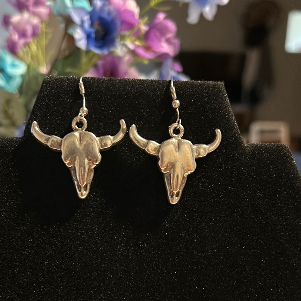Source Unknown Sleek Silver color Earrings